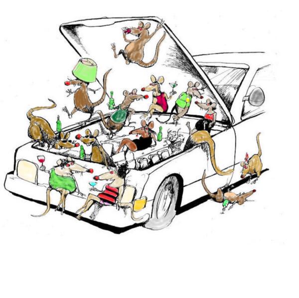 MickeyPerreaud's tweet photo. rodent are breeding at a very high rate. UR car is a great home!
Lunch!
rid-a-rat
@MickeyPerreaud 
@MickeyPerreaud http://t.co/Znq8qEGOrj