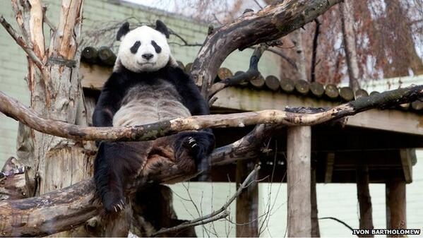 BBCScotlandNews tweet picture