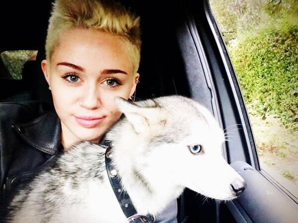 PerfectShipp tweet picture