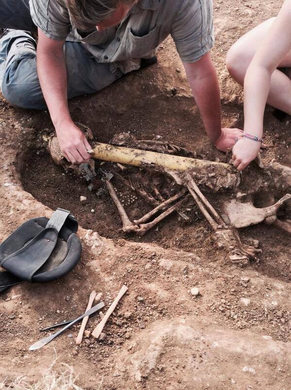 VikingMinds's tweet image. You archaeologists have all the fun! RT @oakingtondig: Check our latest blog… #oakingtondig boneswithoutbarriers.org/blog/grave-116… http://t.co/4G0uPBz2jm”