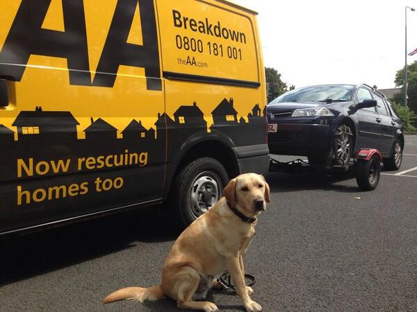 @TheAA_Help <a href="/PuddleDuck8/">Gemma Moran</a> <a href="/guidedogs/">Guide Dogs</a> 'Now rescuing homes and guide dogs in training'! :)