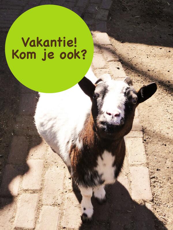 Van mei t/m oktober, verzorgen wij iedere dinsdag om 10.00 uur een leuke inlooprondleiding buff.ly/U11yLj