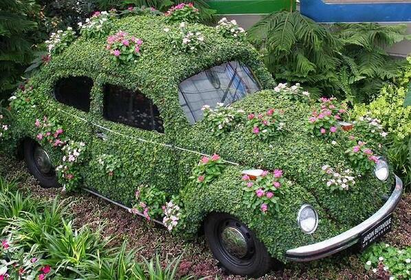 ...herbie (@herbertmatteie) on Twitter photo 