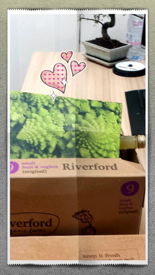 LilyMatorin's tweet image. Am over the #moon @Riverford boxes just came I got a little folder for recipes #notebookobsession  #stationaryfetish