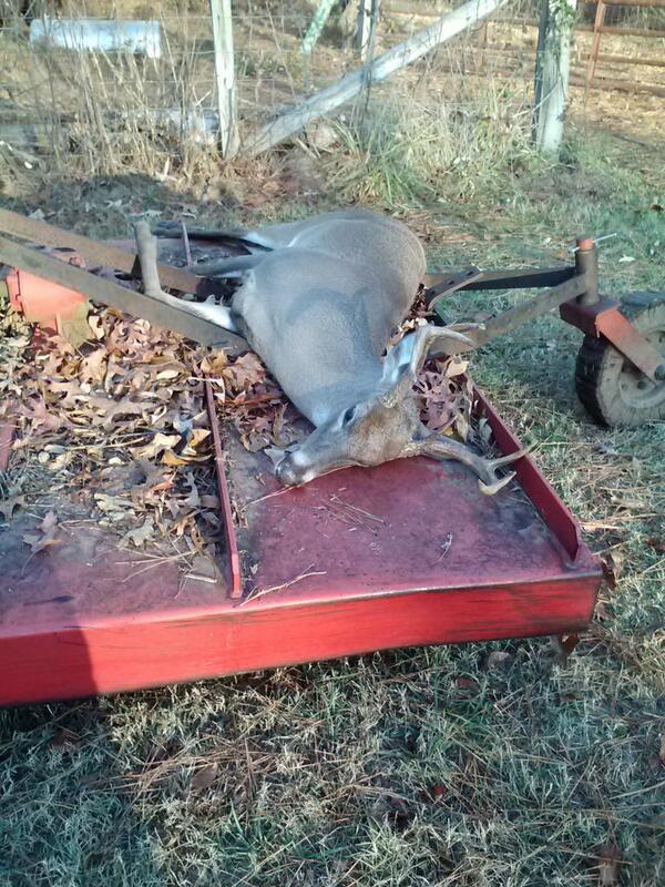 TheKamoKrew's tweet photo. “@TOCCompany: @AverageHunter @TheKamoKrew my father in law's buck #TrophyTuesday http://t.co/E70Va5MQbu”