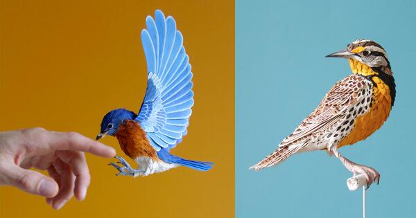 New Lifelike Paper Birds by Diana Beltran Herrera thisiscolossal.com/2014/07/new-li…