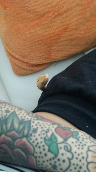 Look how cute my purple sunfire is though... http://t.co/NqlTL2ztv2<a href="/tag/cybermonday"class="tags"><span>#cybermonday</span></a>