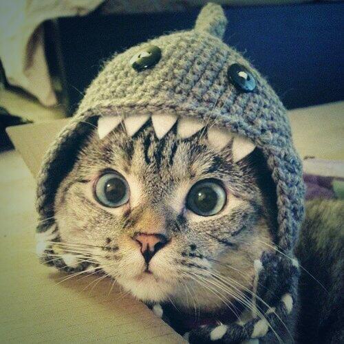 pokerphn's tweet photo. Otidakkk http://t.co/4oTsZ1tFmb