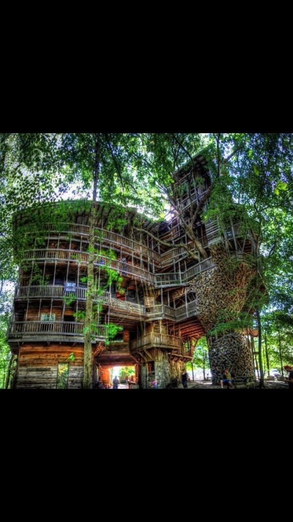 Worlds largest tree house