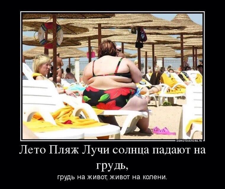 Демотиваторы На Похудение.