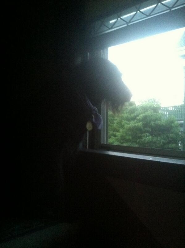 It's nice how Dory being black allows her to create a sort automatic silhouette!😌 #artisticdog