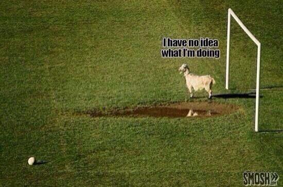 OhSarcasme's tweet photo. De Braziliaanse verdediging op het moment #BRAGER http://t.co/qWmrhLvDDF