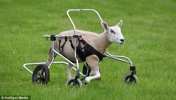 NEYMAR is going to come out at halftime like