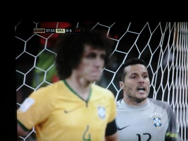 Tiago The Turtle tweet media