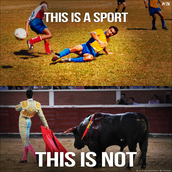 peta's tweet photo. If 1 player will get STABBED TO DEATH &amp; DIE it's NOT a sport. RT if u know the difference. #WorldCup #BrazilvsGermany http://t.co/Luc7i5vGVp