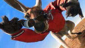 JacobTrouba's tweet image. Just landed in Australia. Where is Jackie Legs? #kangaroojack #bestmovie #downunder