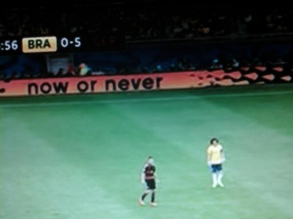 Tiago The Turtle tweet media