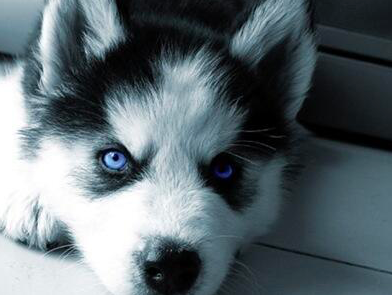 veintitresdel2's tweet photo. http://t.co/KJSQAxGCmm