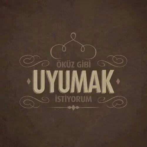 Ama uyuyamıyorum?!!