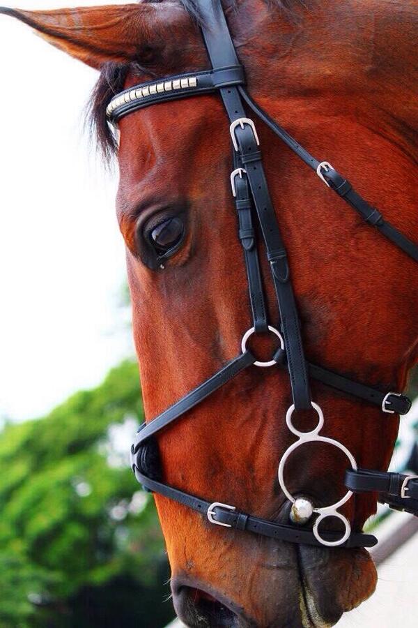 PonyPicture's tweet photo. Slaaapplekkeerrr! 💕😉 #PonyPicture http://t.co/Y7tSxBEhl8