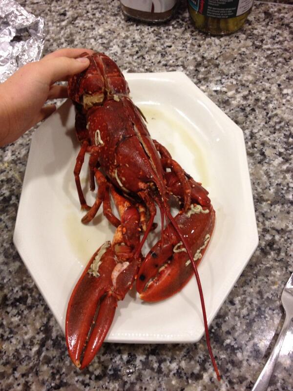 laura___homan's tweet photo. Was so nice and posh #lobsterroll http://t.co/HAMpeeNkNp