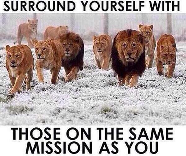 Hoopersonly1's tweet photo. 💯💯💯 http://t.co/19ef8RbxRI