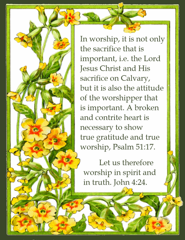 JustaWitness tweet picture