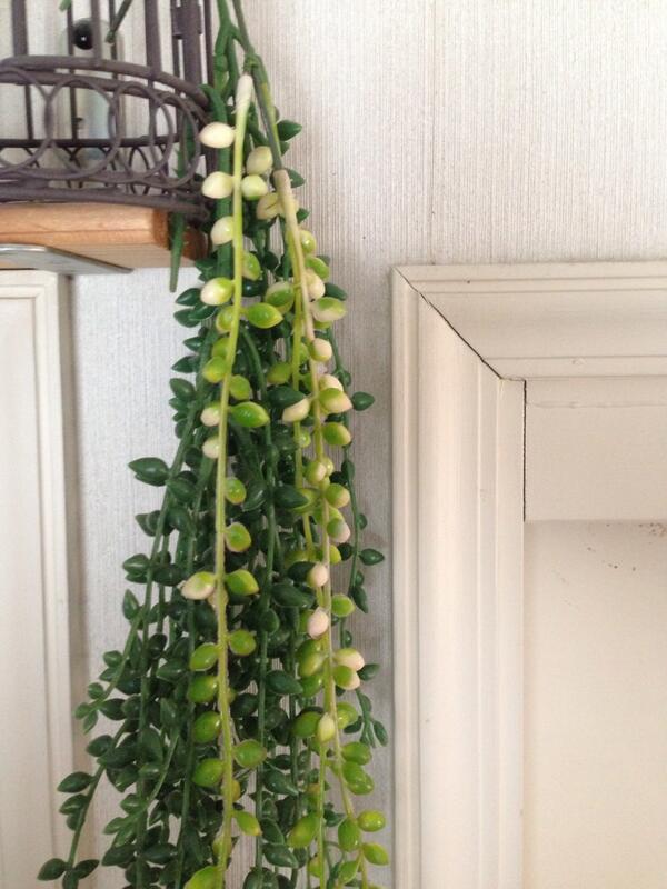 M Works セリアで斑入りのグリーンネックレス フェイク を見つけた セリア グリーンネックレス Http T Co Kdtzni2xrf Twitter M Works セリアで斑入りのグリーンネックレス フェイク を見つけた セリア グリーンネックレス Http T Co Kdtzni2xrf Twitter