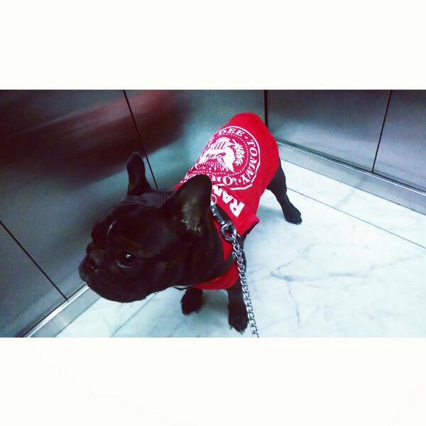 Candevetranok's tweet photo. RAMONA M.E (una perra jodida) http://t.co/AnLdnMehfY
