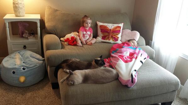 "Frozen" first thing this morning. And now again before bed. #iknoweverywordFROZEN