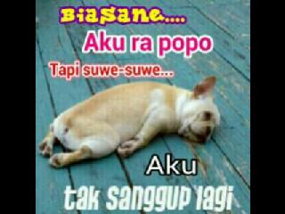Yogii_ES's tweet photo. @dewaanntii @Rettyz95 http://t.co/HBVjduSti7