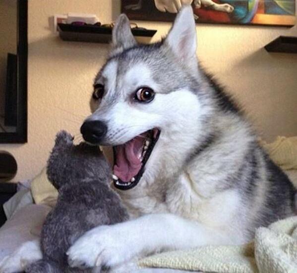 AnnieBarkle's tweet image. My face when I saw #CalebisBack 💕 aksjfhfhbeosnc #PLL100 #PLL #PLL100thEpisode