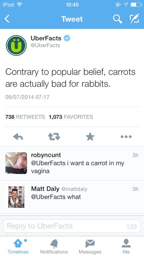 annabmac's tweet image. You want a carrot where?! #inappropriatecomment