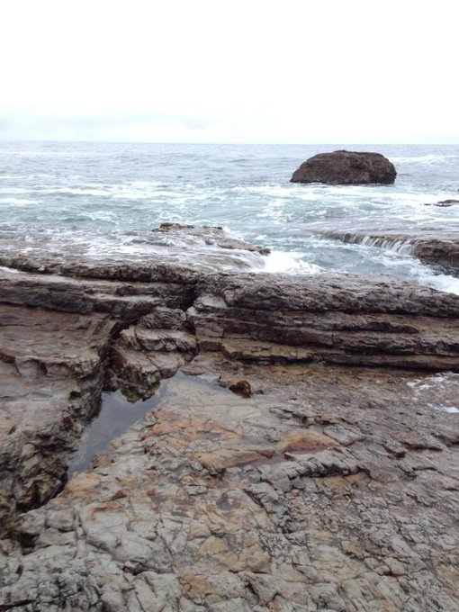 The amazing veiw of the coast before getting soaked by a sneaky wave http://t.co/lU1sPpdibD<a href="/tag/avp"class="tags"><span>#avp</span></a><a href="/tag/tentacleporn"class="tags"><span>#tentacleporn</span></a>