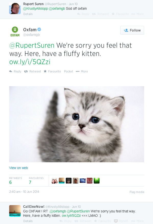 stuartfowkes's tweet photo. Thanks to everyone who was so nice about my talk at #Inbounduk14 yesterday. Here's that kitten again... @IMUKsocial http://t.co/iojsGGKDjl