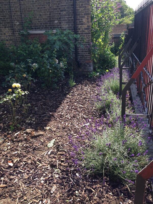 Students from <a href="/CapelManorCP/">Capel Manor CP</a> worked on the #MuseumGarden in <a href="/CrystalPalacePK/">Crystal Palace Park</a> yesterday. Thank you. Looks great!