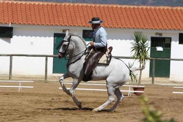 cnvlepe's tweet photo. Buenos días, a solo un mes para que vuelva la Doma Vaquera a Lepe... http://t.co/ShDAAN0SBv
