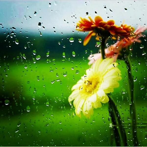 Ale je krásne dnes...