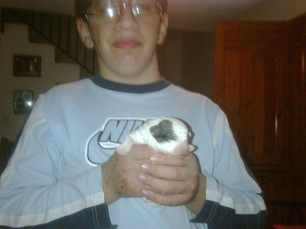 franciscojavier (@xavitedy) on Twitter photo 