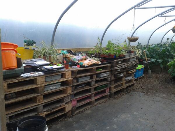 AshbridgeHortic's tweet image. Pallet shelving system! Great #gardening ideas @StChrisSixth #ecoconference