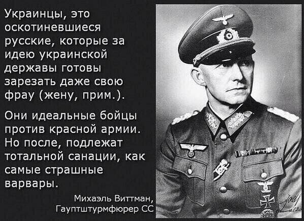 BsFmOn1CQAAgptG.jpg:large