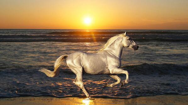 _Paisajes_'s tweet photo. La naturaleza es capturada en el momento exacto http://t.co/7jvEnCYc6C