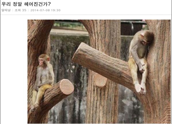 "<a href="/gimseung/">짐승 태</a>: 싸웠어?화해해라~ "