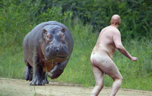 1Fishlips's tweet photo. @_youhadonejob #TweetAPictureYouCantExplain http://t.co/rOJho9vzIw
