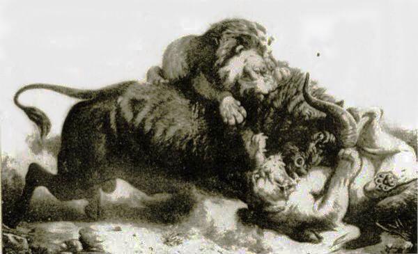 On Twitter And That Is The Person I Voted To Be My President Ingat Lukisan Raden Saleh Banteng Ga Takut Sama Macan Jokowiday Http T Co Enqfhq2ylo Twitter