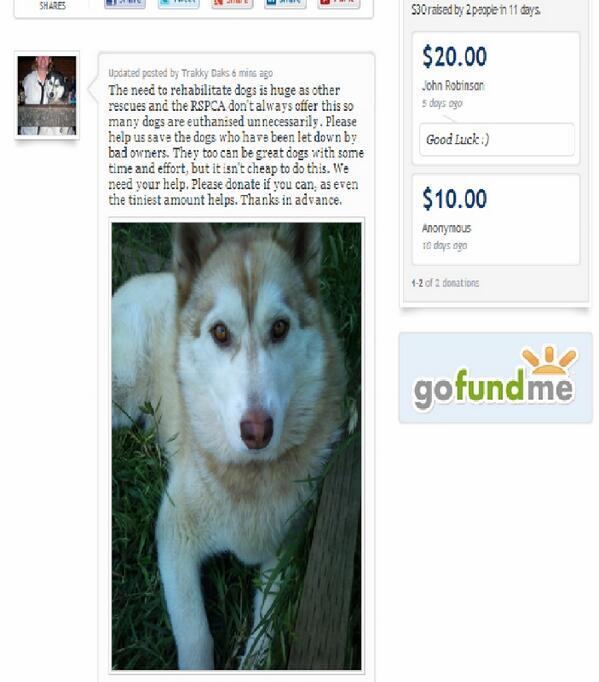 siberian_shrink's tweet image. @Tails_First 7 dogs have benefited from our help so far..help us help more gofundme.com/arsrug  RT #follow #donate