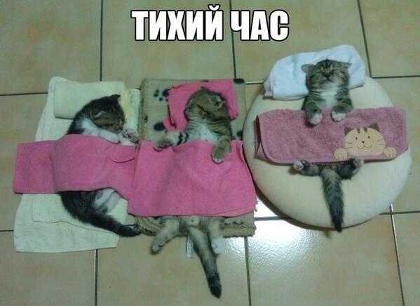 mvswork's tweet image. #RT Очень мило...=)