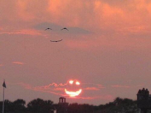 WorldLuxurious's tweet photo. When the sun smiles, the birds smile back! http://t.co/rPGo9aNIhb