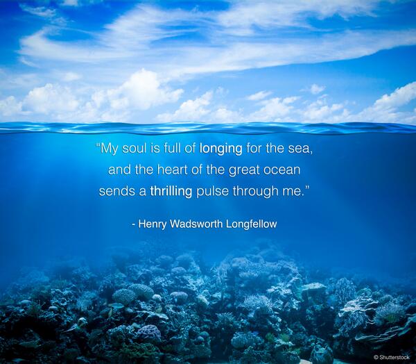 saveourseas's tweet image. It has been a while since we last shared one of these  #quoteoftheday #saveourseas