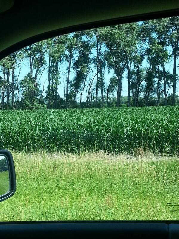 Agassiz Drain Tile (AgassizDrain) Twitter